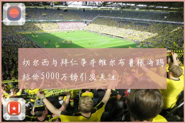 切尔西与拜仁争夺维尔布鲁根海鸥标价5000万镑引发关注